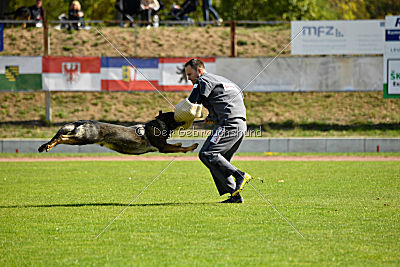 Cliff vom Neuzeller Brunnen