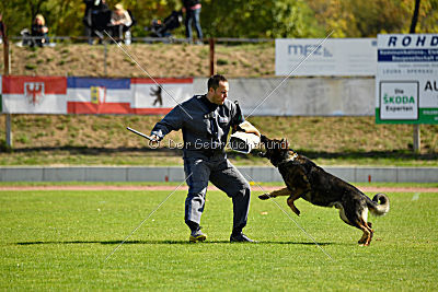 Cliff vom Neuzeller Brunnen