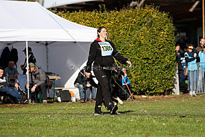 Cliff vom Schloßsee