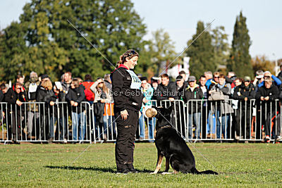 Cliff vom Schloßsee