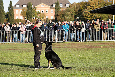 Cliff vom Schloßsee