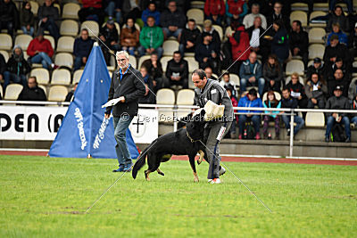 Cliff vom Schloßsee