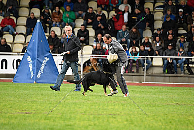 Cliff vom Schloßsee