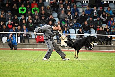 Cliff vom Schloßsee