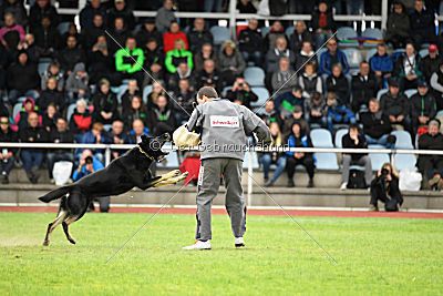 Cliff vom Schloßsee