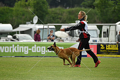 Clooney vom Clan der Wölfe