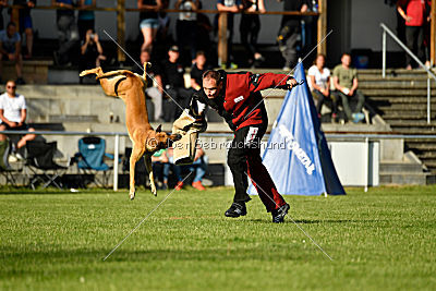 Clooney vom Clan der Wölfe