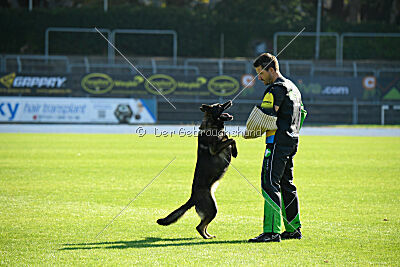 Coco von der Reichsbahn