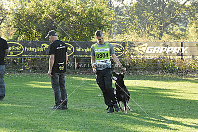 Codex vom Teufelsfeuer