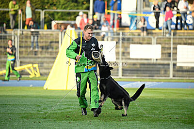 Codex vom Teufelsfeuer