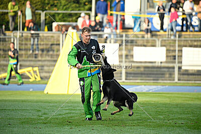 Codex vom Teufelsfeuer