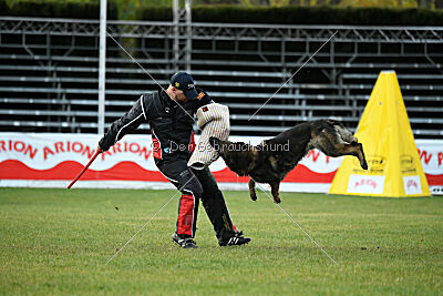 Colombo Moravská kometa