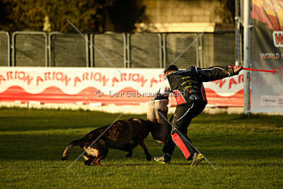 Colombo Moravská kometa