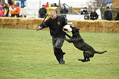 Conan Black Highspeed Devil