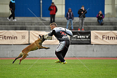 Constantin Anoubis Reunion