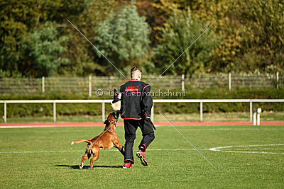 Corleone von den Strong Boxern