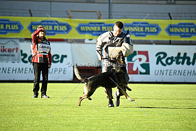 Covid vom Friedewälder Schloß