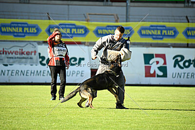 Covid vom Friedewälder Schloß