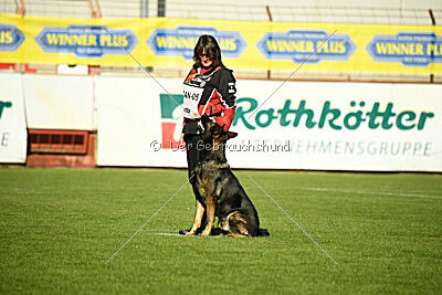 Covid vom Friedewälder Schloß