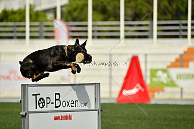 Crack vom Langen Elend