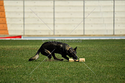 Crack vom Langen Elend