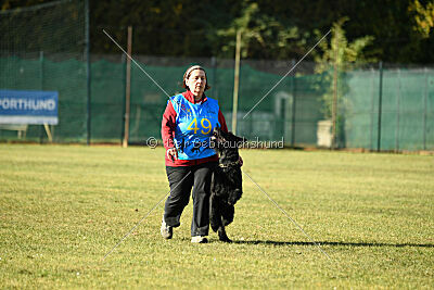 Crash la casa DeCillia