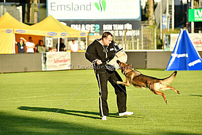 Crazy Canis Invictus