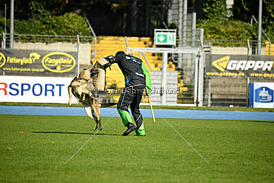 Crazy Canis Invictus