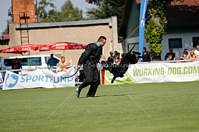 Crissi von Elberfeld