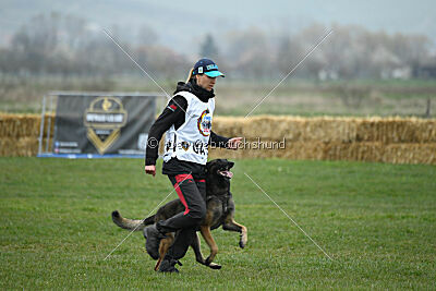 Crocodile iz Gratisano