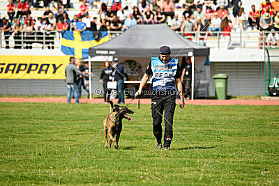 Crocodile z Udoli Jizery