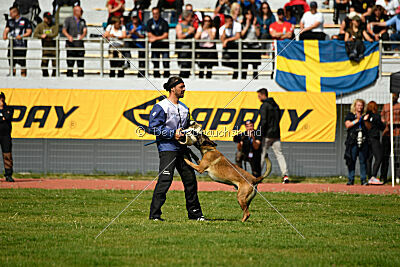 Crocodile z Udoli Jizery