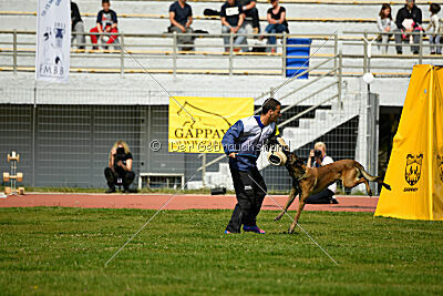 Crocodile z Udoli Jizery