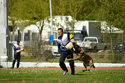 Crocodile z Udoli Jizery