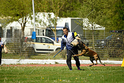 Crocodile z Udoli Jizery