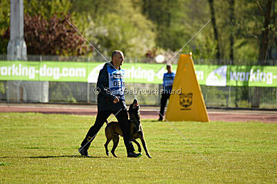 Crocodile z Udoli Jizery