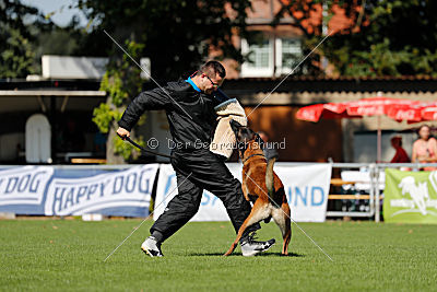 Crocodile z Údolí Jizery