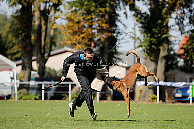 Crocodile z Údolí Jizery