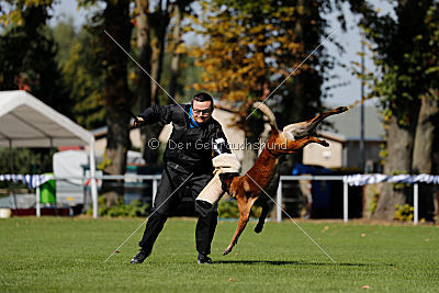 Crocodile z Údolí Jizery