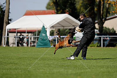 Crocodile z Údolí Jizery