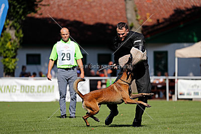 Crocodile z Údolí Jizery