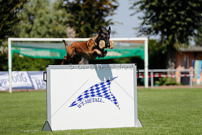 Crocodile z Údolí Jizery