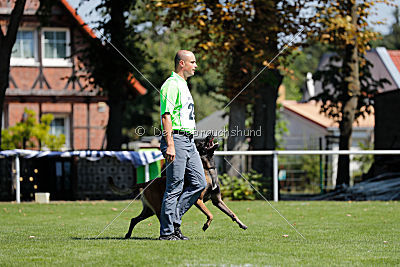 Crocodile z Údolí Jizery