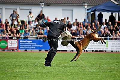 Crocodile z Údolí Jizery