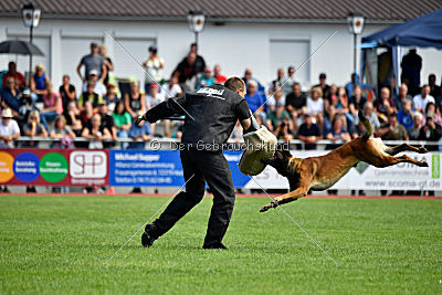 Crocodile z Údolí Jizery