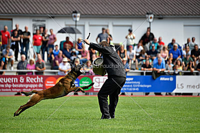 Crocodile z Údolí Jizery