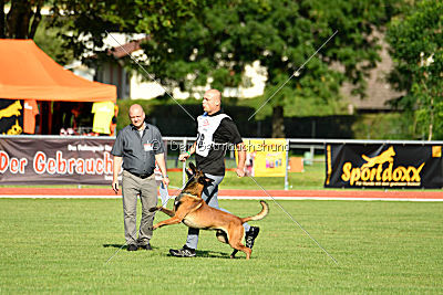 Crocodile z Údolí Jizery