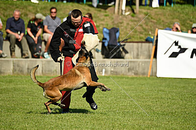 Crocodile z Údolí Jizery