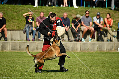 Crocodile z Údolí Jizery