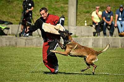 Crocodile z Údolí Jizery